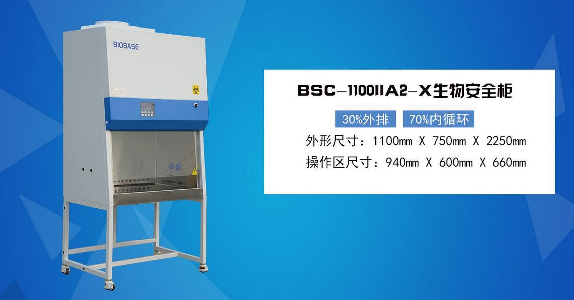 二级生物安全柜生产厂家BSC-1100IIA2-X